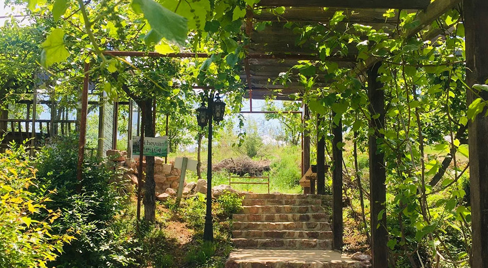 春季景色 春季景色