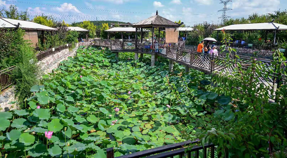 夏季景色 夏季景色
