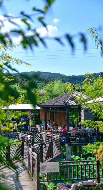 娛樂(lè)項(xiàng)目 娛樂(lè)項(xiàng)目